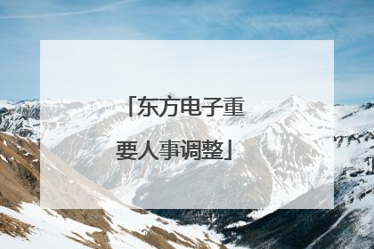 东方电子重要人事调整